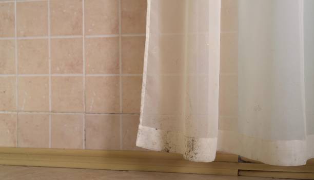 Best Residential Mold Inspection & Testing  in Alafaya, FL