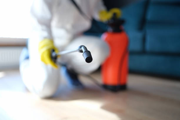 Best Mold Damage Restoration  in Alafaya, FL