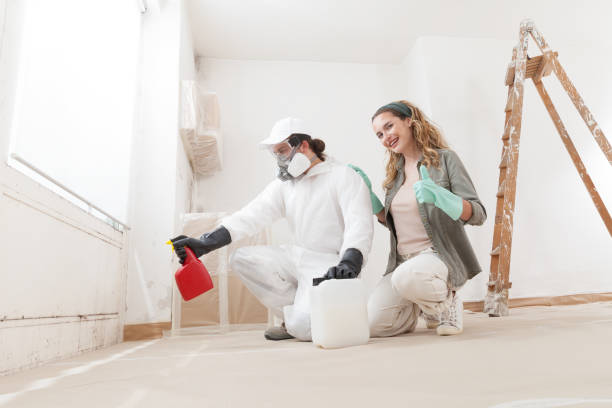 Best Black Mold Removal  in Alafaya, FL