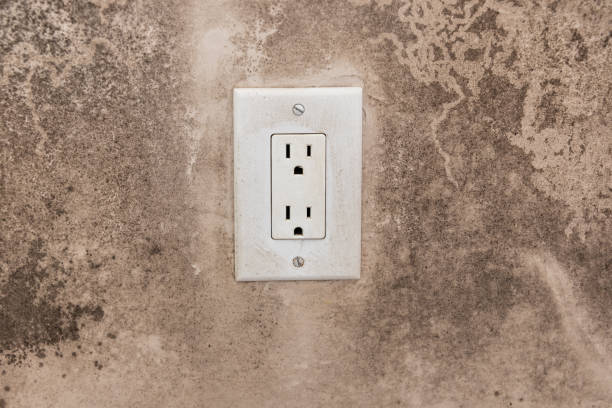 Best Mold Removal for HVAC Installations  in Alafaya, FL